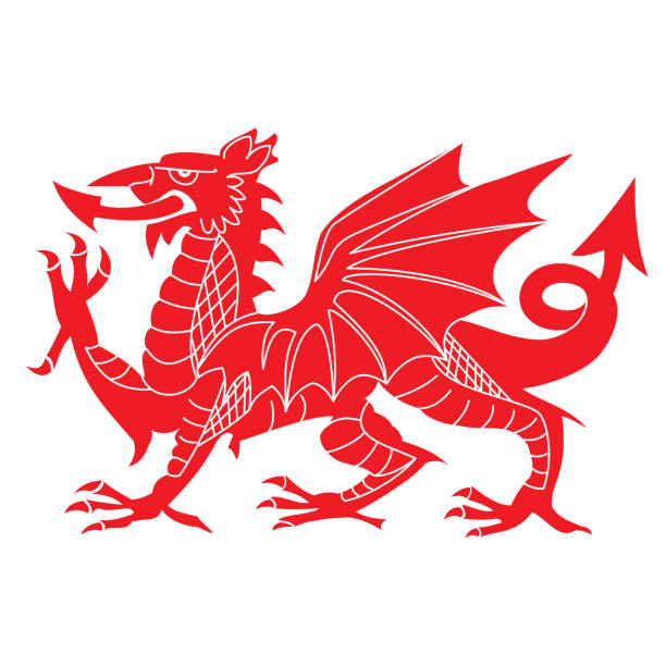 Happy Saint David's Day Isolated red Welsh Dragon on a white background welsh culture stock illustrations
