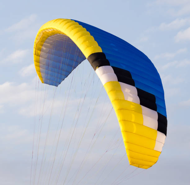 istock extreme sport parachute in the sky 659273772