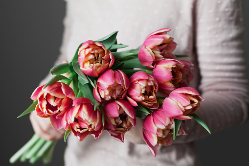Woman holds a bouquet of spring pink tulips flowers. Vintage lifestyle scene with beautiful day light.