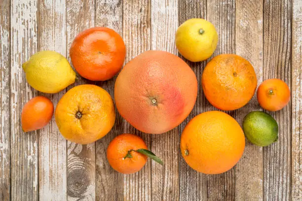 citrus fruit collection (orange, lemon, lime, grapefruit, tangerine, mandarin, kumquat) on weathered rustic white painted  wood, top view