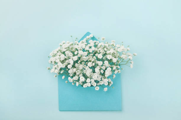 maquette de fleurs gypsophile dans l’enveloppe. style plat laïc. - mothers day flower gift bouquet photos et images de collection