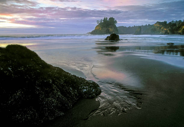 istock Trinidad Beach afternoon 659306942