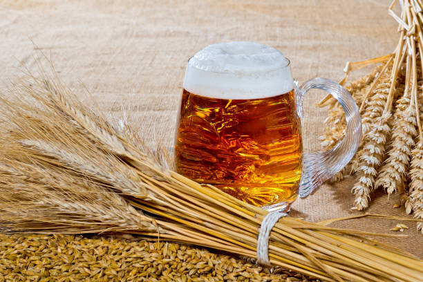 пивной бокал с снопом ячменя и пшеницы - mug beer barley wheat стоковые фото и изображения