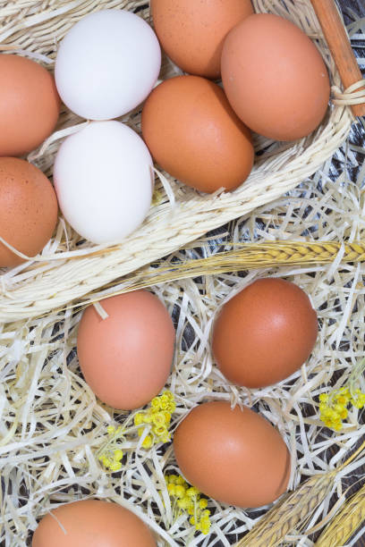 istock White and yellow eggs in the hay 659332376