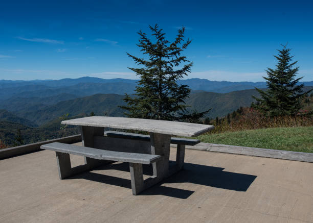 Handicapped Picnic Table Handicapped Picnic Table at wayside on the Blue Ridge Parkway stone bench top view stock pictures, royalty-free photos & images