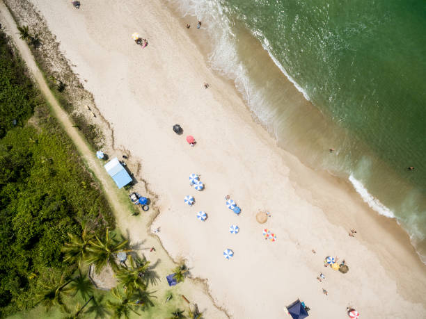 istock Top View of a Brazilian Beach 659351686