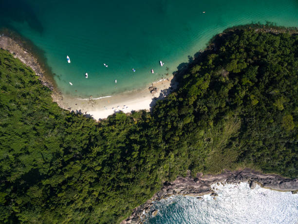 頂視圖的天堂島 - croatia brazil 個照片及圖片檔