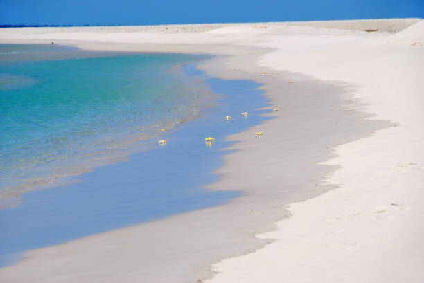 istock Sokotra beach, Yemen 659352338