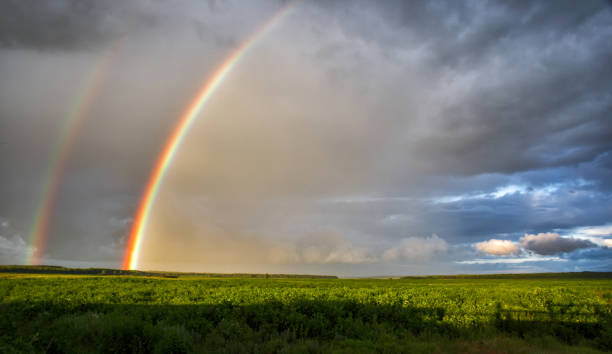 istock Bright rainbow after the rain over the field 659392838