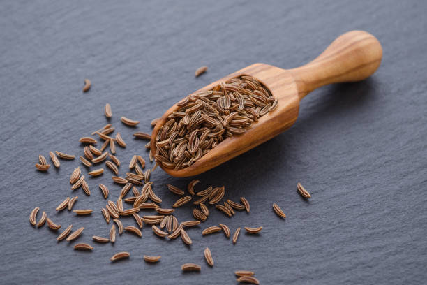 semi di cumino, carvi in uno scoop di legno su sfondo nero - ingredient fennel food dry foto e immagini stock