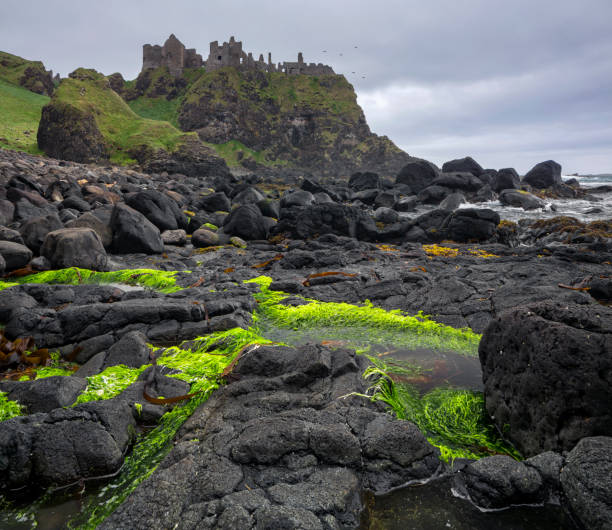 istock Dunluce castle on edge of cliff, Ireland 659415620