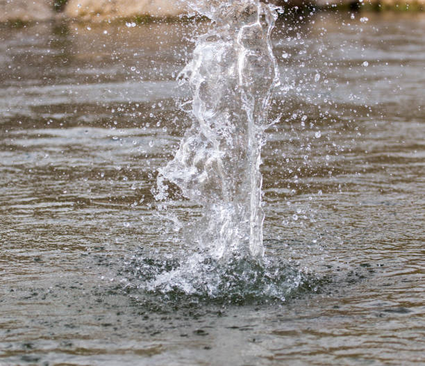 istock water splashing from a stone in the river 659419684