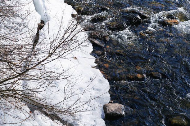 água contra neve - melting spring snow trentino alto adige - fotografias e filmes do acervo