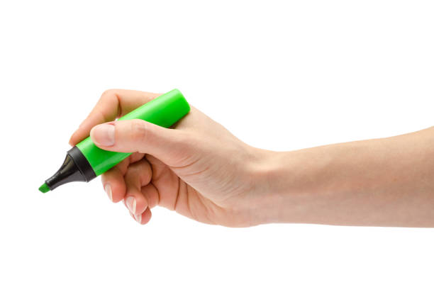 hand of girl holding highlighter. Isolated on white background