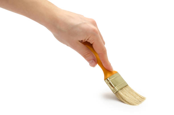 istock female hand holding paintbrush. 659449302