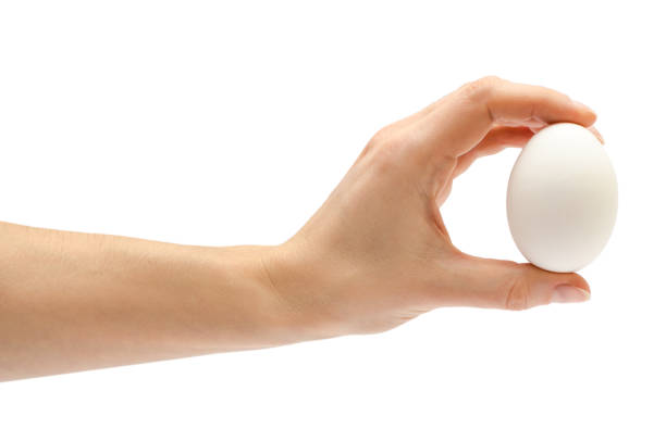 istock woman hand holding chicken egg 659460330