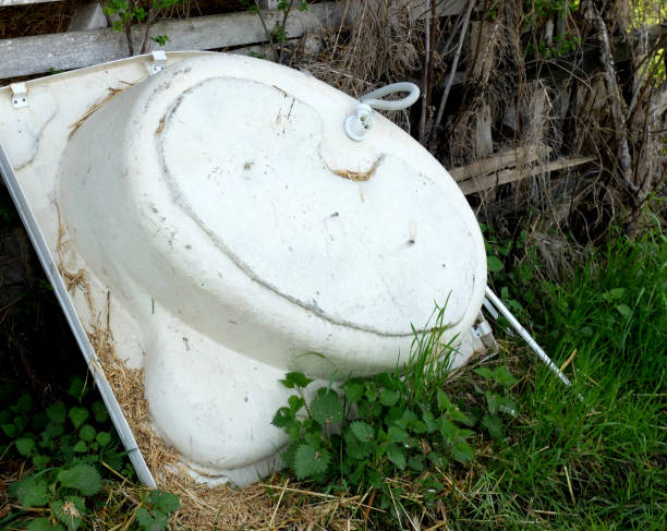 istock Old Bathtup in the garden 659460528