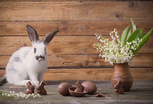 rabbit with chocolate eggs and flowers on wooden background