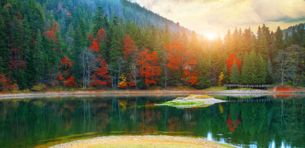 istock picturesque lake in the autumn forest. 659485596