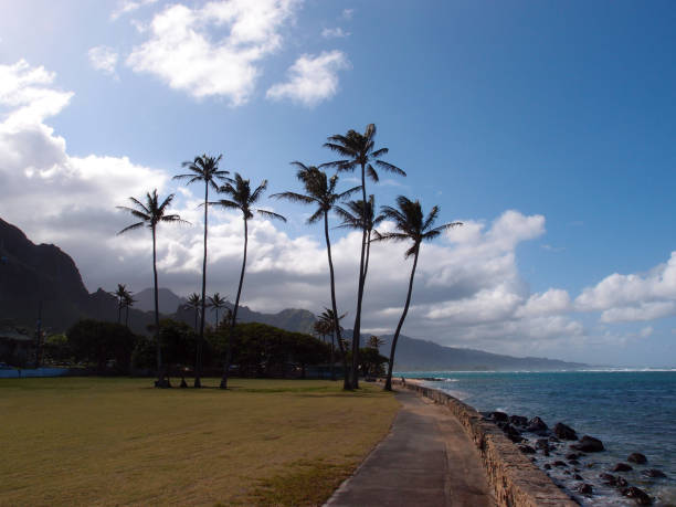 Swanzy Beach Park, Kaaawa, Oahu Hawaii