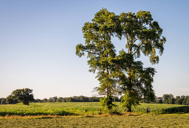 istock Hikers near the Dutch fields of Delden 659508798