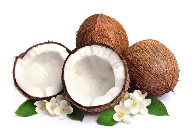 Coconut with white flowers stock photo
