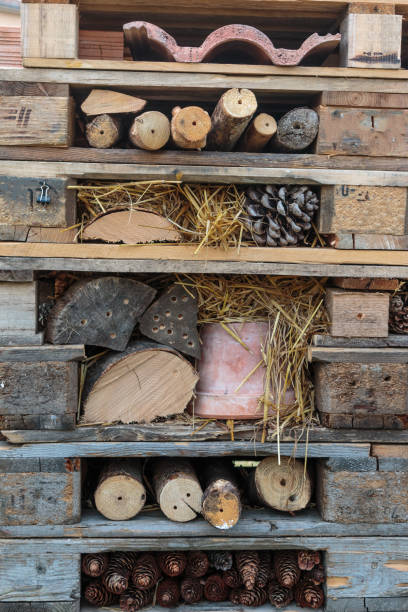 istock Wooden Pallets Stacks with Branch, Chestnut and Pine Cone 659531734