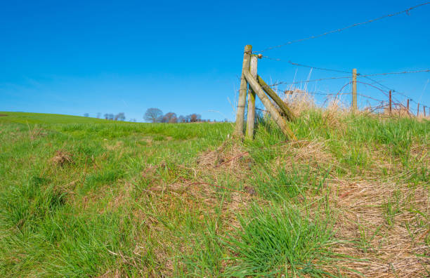 istock Panorama of a sunny green meadow on a hill 659542172