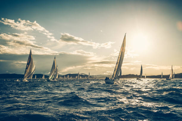 regata na ensolarada manhã de outono - sailboat sports race yachting yacht - fotografias e filmes do acervo