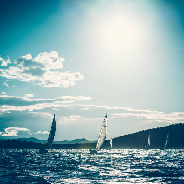 istock Sailing regatta on sunny autumn morning 659549406