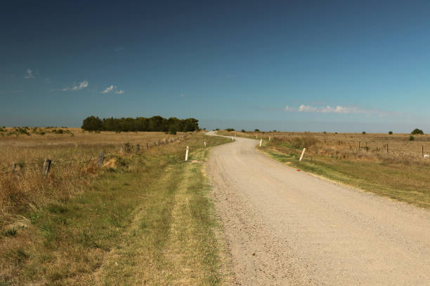 istock Curvy country road near Melbourne 659561790