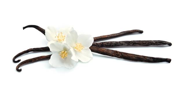 istock Vanilla sticks with flowers. 659564250
