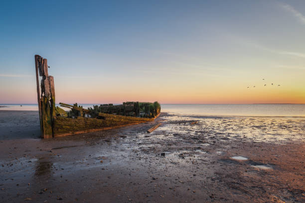 istock Shipwreck stuck in the sand at sunset 659579748