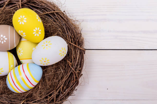istock Easter background with eggs in nest over white wood. Top view with copy space 659603094