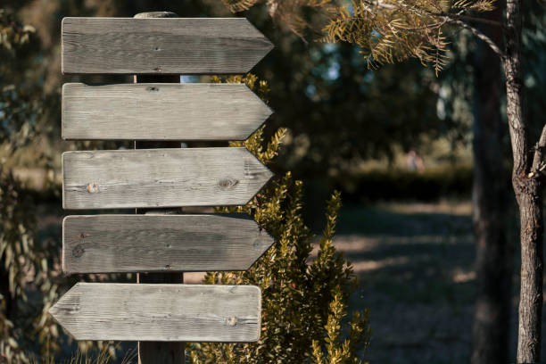 istock Wooden sign nature backgrount 659608780
