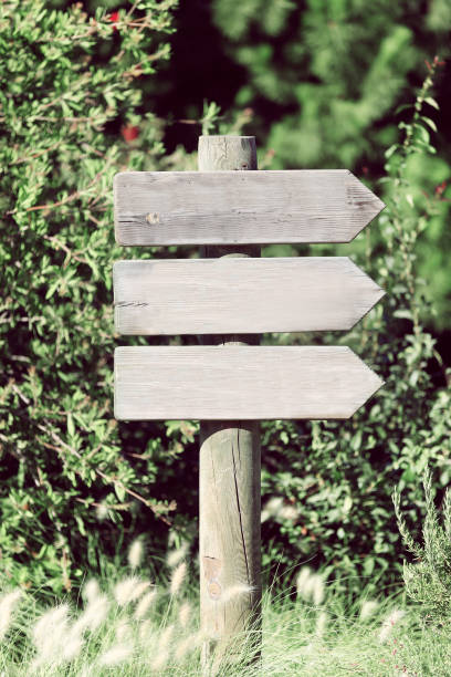 istock Wooden sign nature backgrount 659615888
