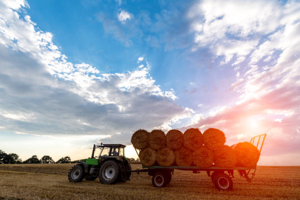 istock Sunset above the tractor with a trailer 659617174