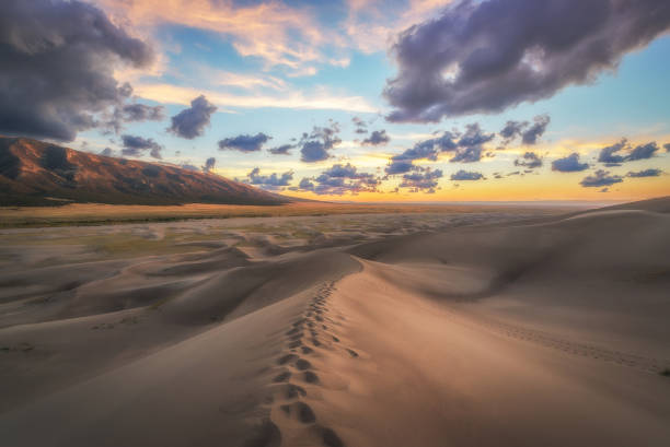 istock Footstep leading up a sand dune at sunset 659629120