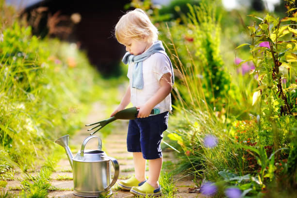 istock Little child with garden tools in domestic garden 659629140