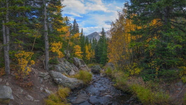 istock Tyndall Creek in Rocky Mountains National Park 659630410