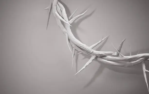 Photo of Close up Crown of Thorns 3D Rendering Empty Space