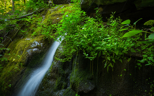 Beautiful stream near Mount Tammany, New Jersey.