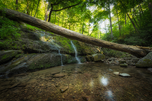 Beautiful stream near Mount Tammany, New Jersey.