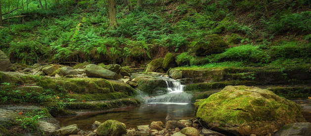 Beautiful stream near Mount Tammany, New Jersey.