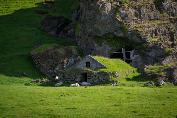istock Historic cave dwelling in Iceland 659639820