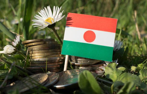 istock Niger flag with stack of money coins with grass and flowers 659640018