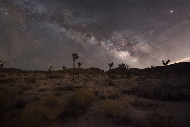 istock Milky Way Joshua Tree National Park Landscape 659646034