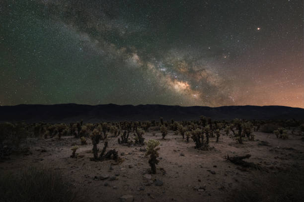 istock Milky Way over Cholla Cactus Garden 659646164