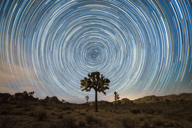 Star Trails circling the North Star as the Earth rotates.