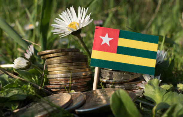 istock Togolese flag with stack of money coins with grass and flowers 659646214